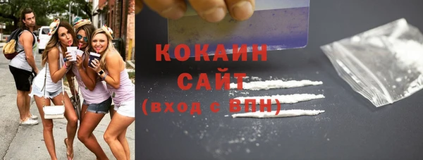 мяу мяу мука Бородино