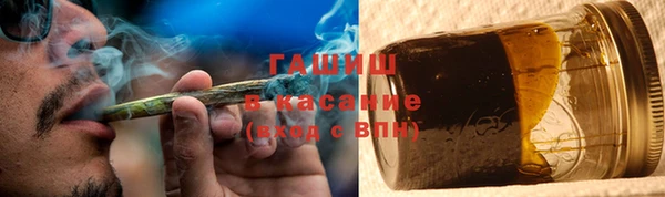 прущие грибы Волосово