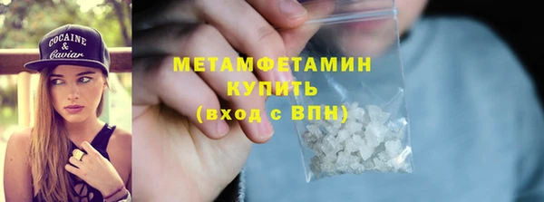 прущие грибы Волосово