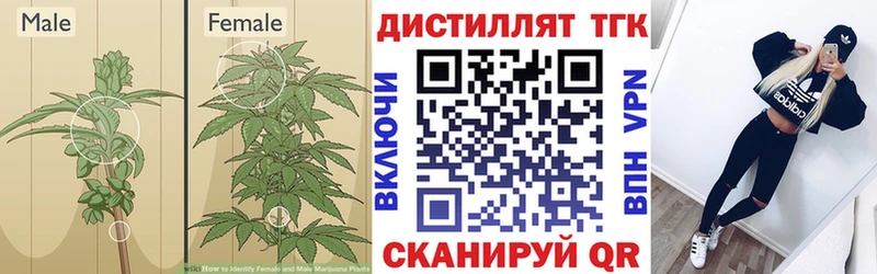 ТГК Wax  Среднеуральск 