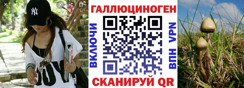 наркотики  ОМГ ОМГ ССЫЛКА  Псилоцибиновые грибы ЛСД  Среднеуральск 